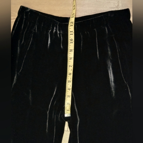 Graham + Spencer Frida Velvet pants NWT - Picture 9 of 10